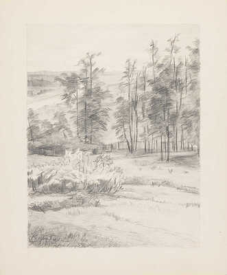 Чеботарёв Константин Константинович. Карабиха. Часть нижнего парка